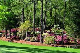 Pin On Someday My Garden Will Look Like This