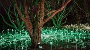 Bruce Munro S Field Of Light Installation In California Is Like The Super Bloom On Steroids Travel And Leisure Local Travel California