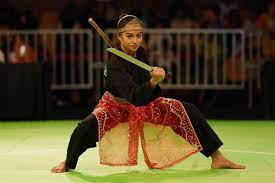 Berikut ini aspek atau unsur dalam pencak silat, kecuali. Pencak Silat Pengertian Sejarah Teknik Dasar Peraturan Istilah Istilah