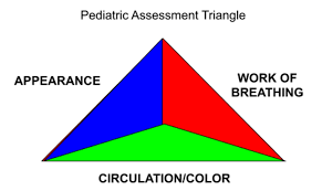 Image result for Pediatric Assessment Triangle
