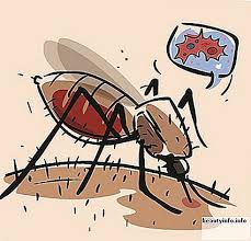 Apakah tanda demam denggi yang ramai terlupa? Gejala Demam Denggi Punca Dan Langkah Berjaga Jaga Gaya Hidup Kecantikan Fesyen 2021