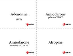 Pals Drugs And Pharmacology You Should Know Plus Printable