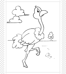 Vogel Gemeinen Strauss Malbuch Papagei Ausmalbild Strauss Winkel Tier Tiere Png Pngwing