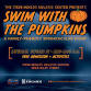 Swim with the Pumpkins event image