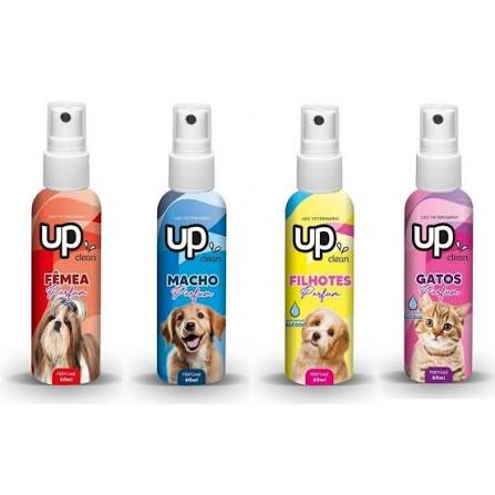 PERFUME UP  - 60ML
