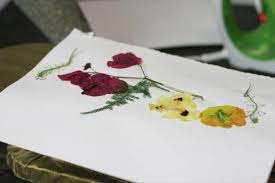 Maybe you would like to learn more about one of these? How To Press Flowers Perfectly Homesteading Skills