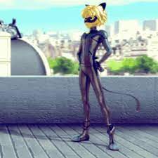 Hello My Name Is Anita 21 Venezuelan And This Blog Is Dedicated To The Amazing Show Miraculous Ladybug Chat Noir Miraculous Ladybug And Cat Noir