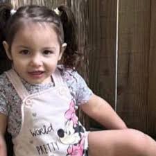 Fundraiser for Stephany Torres by Michelle Gourgand : In loving memory of  Renesmee Everly Gordon 060823