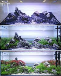 Fresh Water Fish Tank Panosundaki Pin