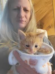 0-50-amazon list carter county ky My mom needs this really bad. She can't  walk but a few steps and is having a very hard time getting up and this is  what she