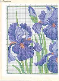 We did not find results for: 140 Cross Stitch Patterns Of Iris Flowers Ideas In 2021 Cross Stitch Patterns Cross Stitch Stitch Patterns