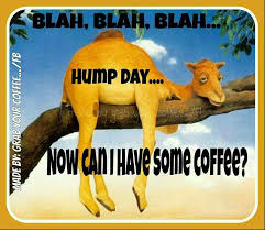 Funny camel hump day valentine card | zazzle.com. Blah Blah Blah Wednesday Hump Day Funny Good Morning Quotes Good Morning Wednesday
