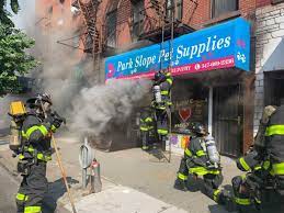 Located in the heart of marine park in brooklyn, we carry top quality dog & cat food. Greenwood Heights Pet Store Catches Fire Shop Cat Missing Brooklyn Paper
