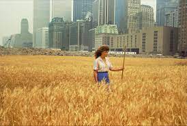 We did not find results for: That Time A Wheat Field Grew In Downtown New York