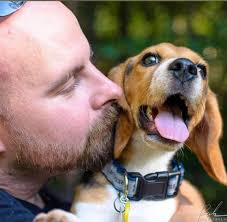 Rachel Robinson gazes at Jack with a sense of ❤️ & pride. It is the end of  perilous journey. A moment of reflection after a Florida porter expresses  his admiration ￼for Jack