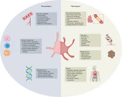 Image result for Platelet Function Closure Time