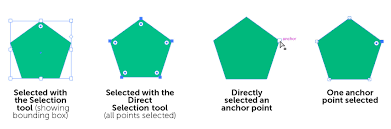 We did not find results for: Shape Editing Adobe Illustrator Book