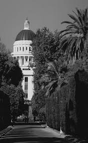 Inspect buildings for pest activity. Https Www Cdpr Ca Gov Docs License Pubs Laws Regs Study Guide Pdf