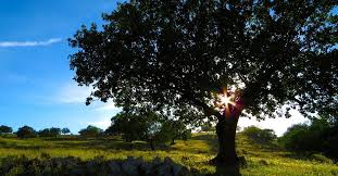 Zetta Wilson Obituary