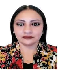 Autónoma Virtual: Plana Docente