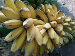 50 gambar buah buahan segar wallpaper buah lengkap hd gambar buah pisang, buah pisang merupakan salah satu buah gambar animasi buah pisang sumber : 20 Macam Macam Pisang Lengkap Dengan Gambarnya
