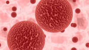 Experimental vaccine and treatments available : Aiuonaoip 2nrm