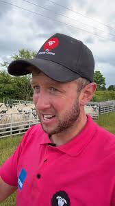 We got our wool cheque in last week 💰