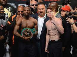 Canelo alvarez net worth how much will the mexican star s wealth. 1 15 Millionen Dollar Pro Minute Sport A Z