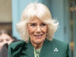Royal Family Rushes to Clarify Queen Camilla's Comment About Grandson