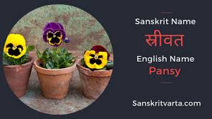 This information will be helpful for international travellers who. 50 List Of Flowers Name In Sanskrit Language And Hindi With Pictures Sanskrit Learnsanskrit Sanskritvarta Flowersna Sanskrit List Of Flowers Flower Names