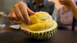 Maybe you would like to learn more about one of these? 7 Cara Asyik Makan Durian Seruni Id