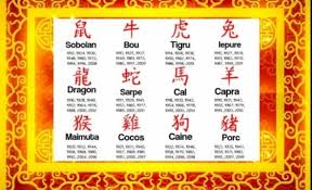 Conform ciclului de 12 ani din zodiacul chinezesc, anul nou care începe în 2019 este anul porcului. Zodiac Perioade Lumea Fericirii