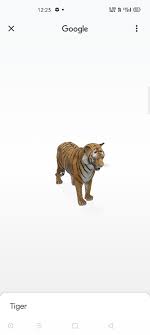 Google 3d Animals Object Are Not Working On Realme 6 Pro Devices They Don T Show The Option For View In Your Space If This Is Due To Ar Compatibility So Get It