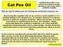 Does An Oil Smell Like Cat Pee Cat Pee Cat Spray Cat Spray Smell