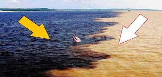 لماذا البحر مالح والنهر عذب ملزمتي