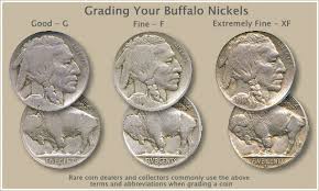 All About The Buffalo Nickel A Central Item In American