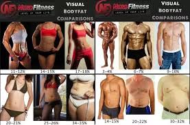 Ideal body fat percentage for men. What Does 8 Body Fat Look Like Quora
