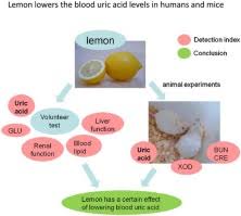 At the end of the post, we also review lifestyle and dietary changes that can help decrease uric acid levels. Lemon Fruits Lower The Blood Uric Acid Levels In Humans And Mice Sciencedirect