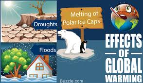 Image result for global warming photos
