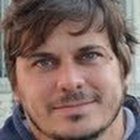 PDF) Ficha de Aphyocheirodon hemigrammus