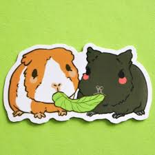 Pin On Guinea Pig Stickers