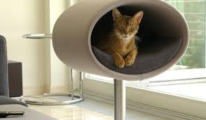 dunyanin en pahali ve ilginc kedi evleri paratic