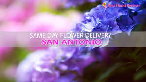Maybe you would like to learn more about one of these? The 9 Best Options For Same Day Flower Delivery In San Antonio 2021