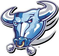 Logo is created with lines forming a bull's head in blue color. Blue Bulls Logos Posted By John Thompson