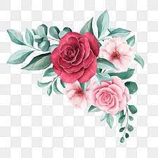Elegant Watercolor Flowers Bouquet For Card Border Design Element Wedding Invitation Flowers Png Transparent Clipart Image And Psd File For Free Download Vine Drawing Flower Illustration Rose Illustration