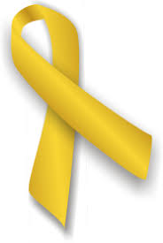 Cancer in children is comparatively rare; Things We Learned After Our Son S Cancer Diagnosis Hope And Heroes