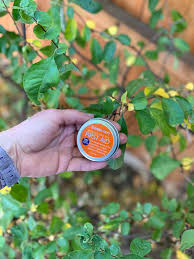 When it comes to a backpacking first aid kit, you have a few choices. How To Build A First Aid Kit Gut Z Journey