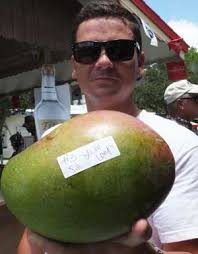 Pine Island Celebration of the Mangoes Huge Success.