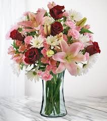 Anita F. Mathieu Obituary November 3, 2023