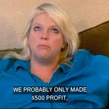 Image result for Robyn 500